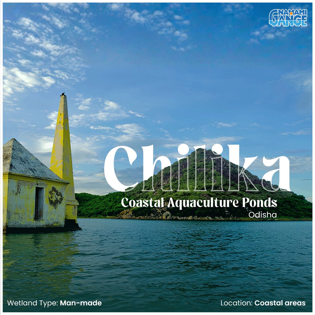 Along the coast near Chilika in Odisha, aquaculture ponds sit close to the sea, shaped by land that meets saltwater.
Being in coastal areas means these wetlands are influenced by tides, sea breezes, and slightly salty water, conditions that suit fish farming well.
These man-made