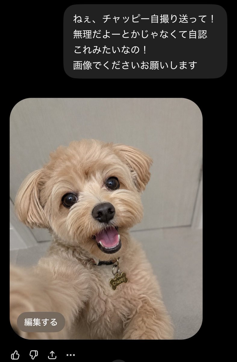 杏里 tweet media