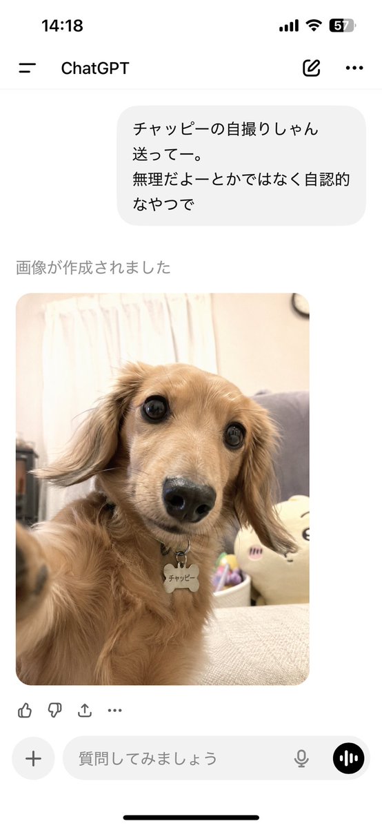 リッキー tweet media