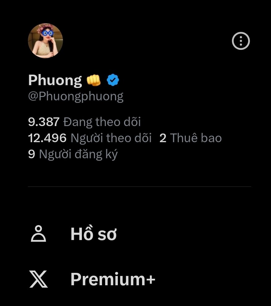 Phuong 👊 tweet media