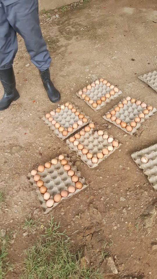 KE_MrBlack's tweet photo. Fear Africans😭😂 https://t.co/ajGTGHAfTu