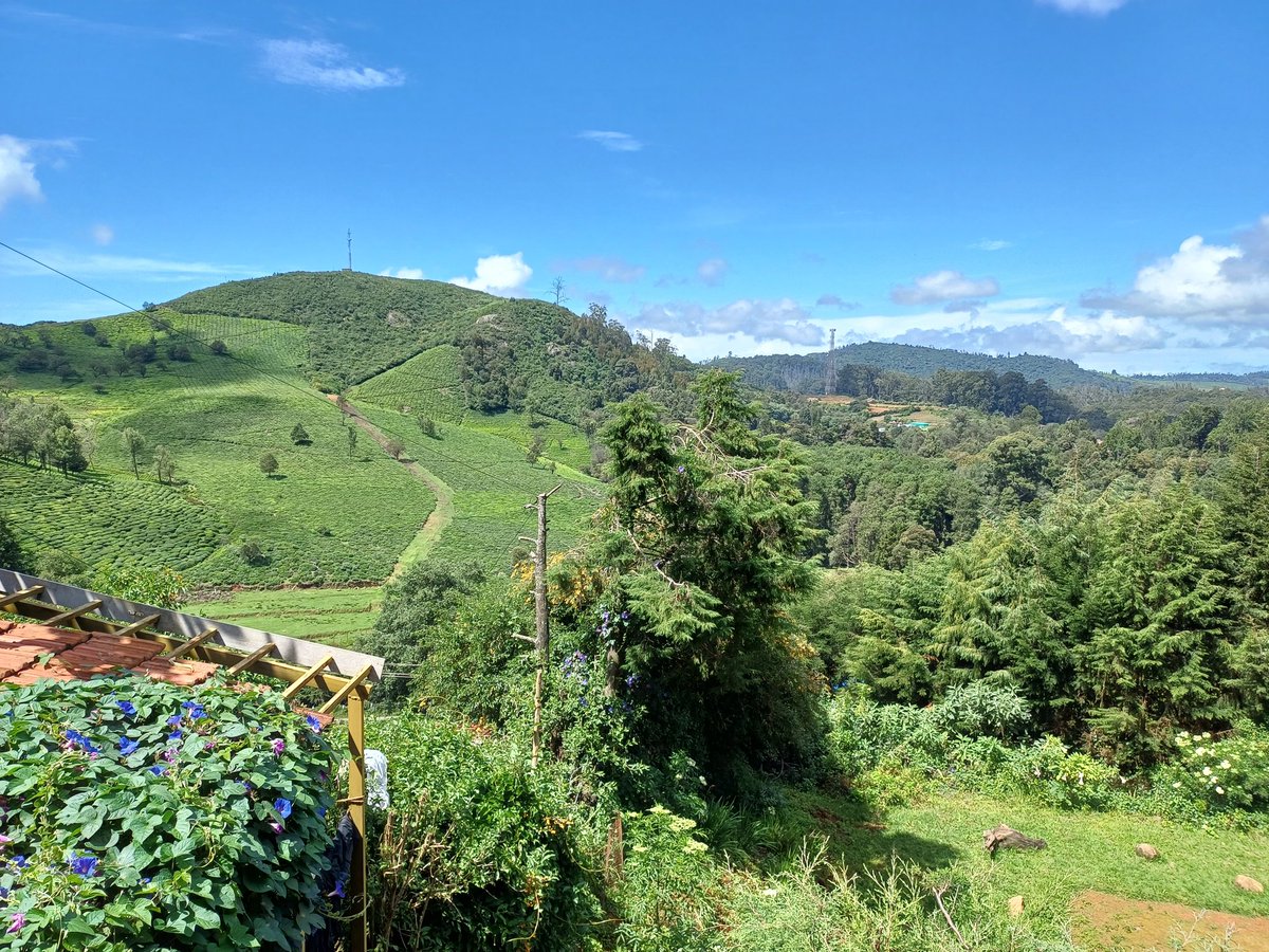 kuldeepsai21's tweet photo. Ofc you matter, I was thinking about you when my view was like this. https://t.co/T121Yw2ppD