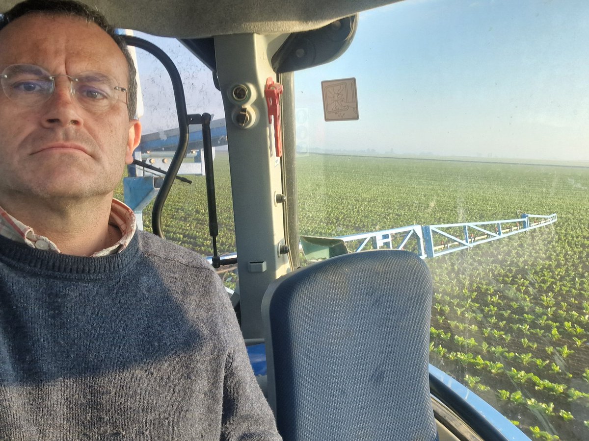 RDoublier's tweet photo. Bon 8 mai à  tous(ou pesque)!
Pour la commémoration de l'armistice je traite mes betteraves contre les pucerons. C'était mieux avant lorsque le produit était sur la semence https://t.co/NMou60tWEm