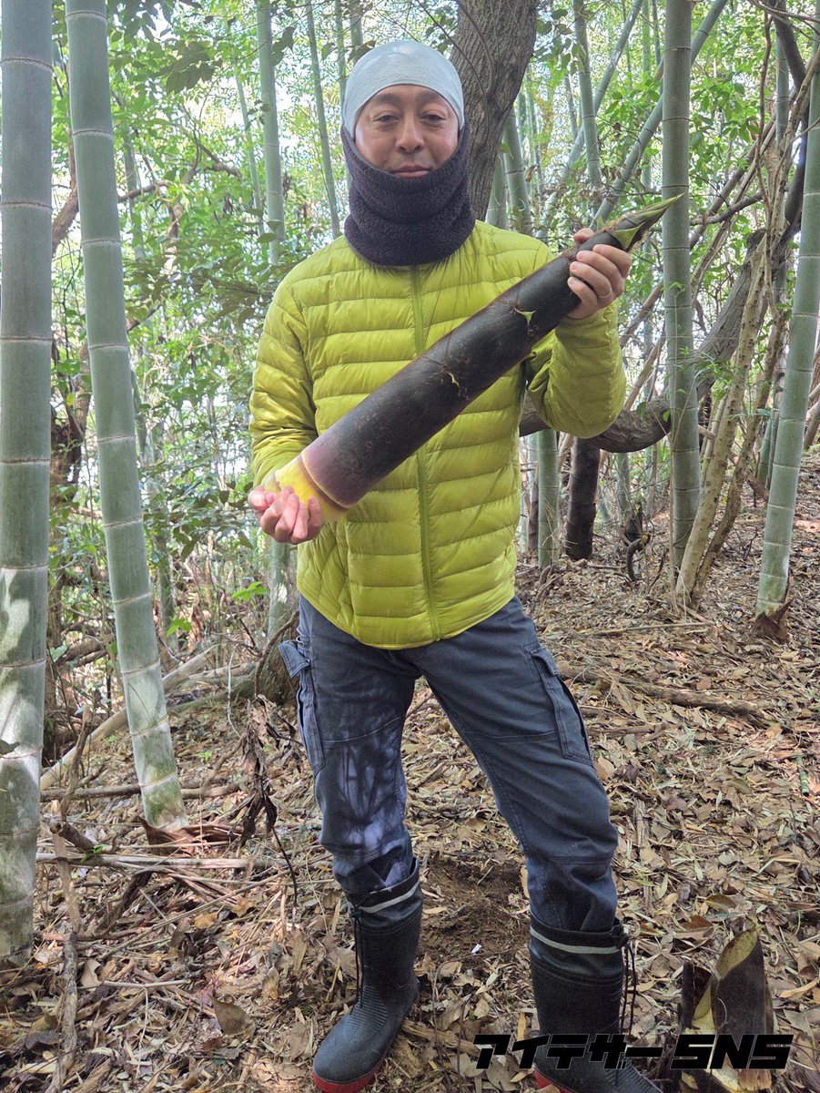 itether2015's tweet photo. こんにちは🌱アイテザーSNSです🦔

今年も恒例、弊社代表による筍掘りの季節がやってきました🎋

#たけのこ
#筍掘り
#目黒
#アイテザー
#iTether

🐢🐢🐢
🎋🎋🎋 https://t.co/Tc90phTU3w