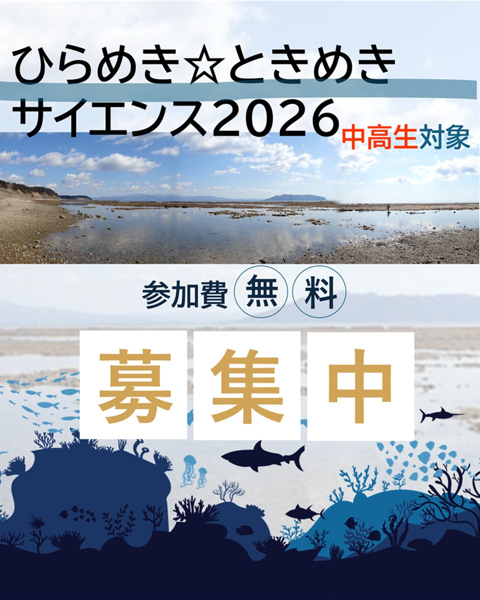 Balance_deOcean's tweet photo. 【中高生の参加募集中】
「小さな動物も近所の誰かを気にしてる：海岸動物の行動生態学入門」（ひらめき☆ときめきサイエンス）の募集をしております。海岸での動物観察・磯採集や実習室で動物行動実験体験などなど♪
気になる詳細はこちらから☟
https://t.co/Qzw9gv42QF https://t.co/klZUkJOUXJ