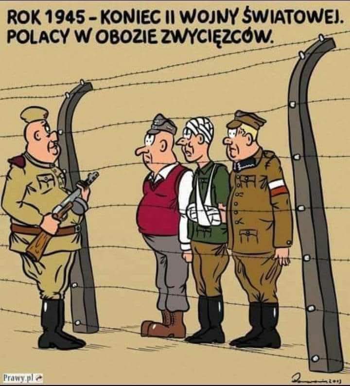 NARODOWE SIŁY ZBROJNE tweet media