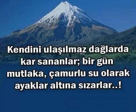 Metin Lütfi BAYDAR tweet media