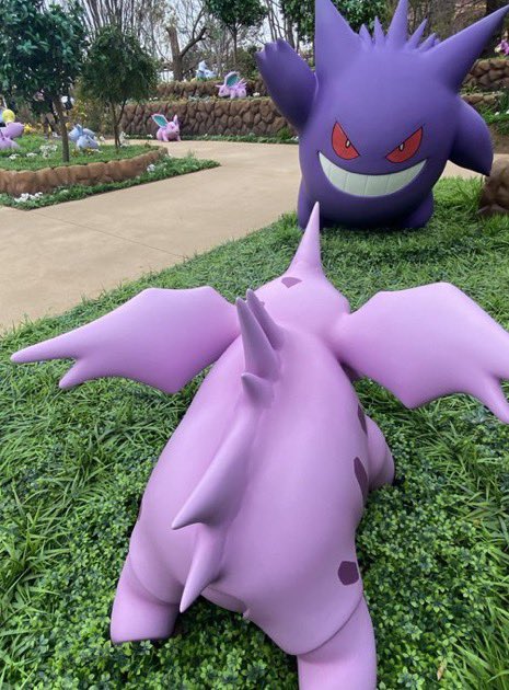 ポケモンフォレスト 前回来た時はニドリーノの相手がゲンガーだった