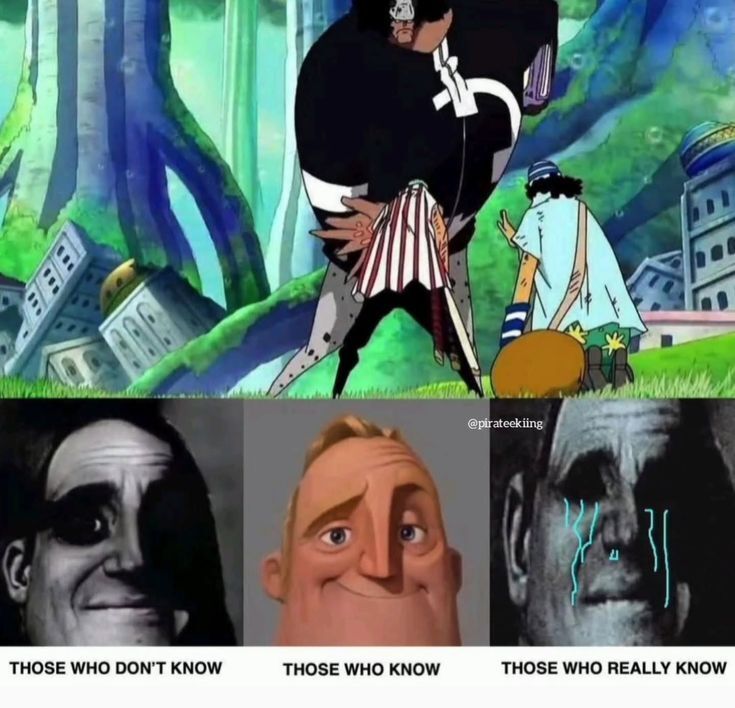 One Piece Daily tweet media