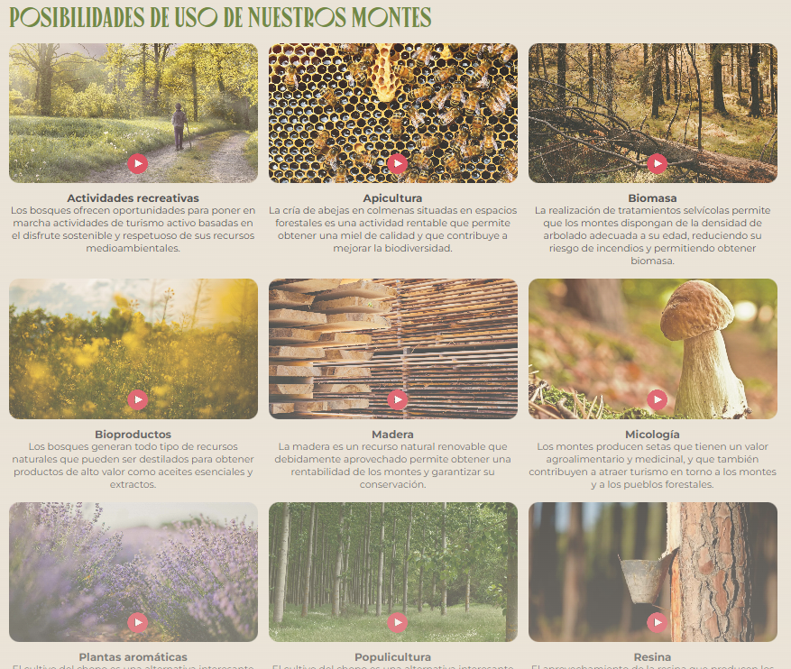 idForestal's tweet photo. Terminamos la semana con... #RECONECTA...un proyecto que busca recuperar hectáreas de #monte abandonadas mediante la identificación de sus propietarios y llevar a cabo una #gestiónforestalsostenible de estos terrenos...https://t.co/JZZFEmSJJr ¡¡Buen Fin de Semana!! https://t.co/w1XielHXmO