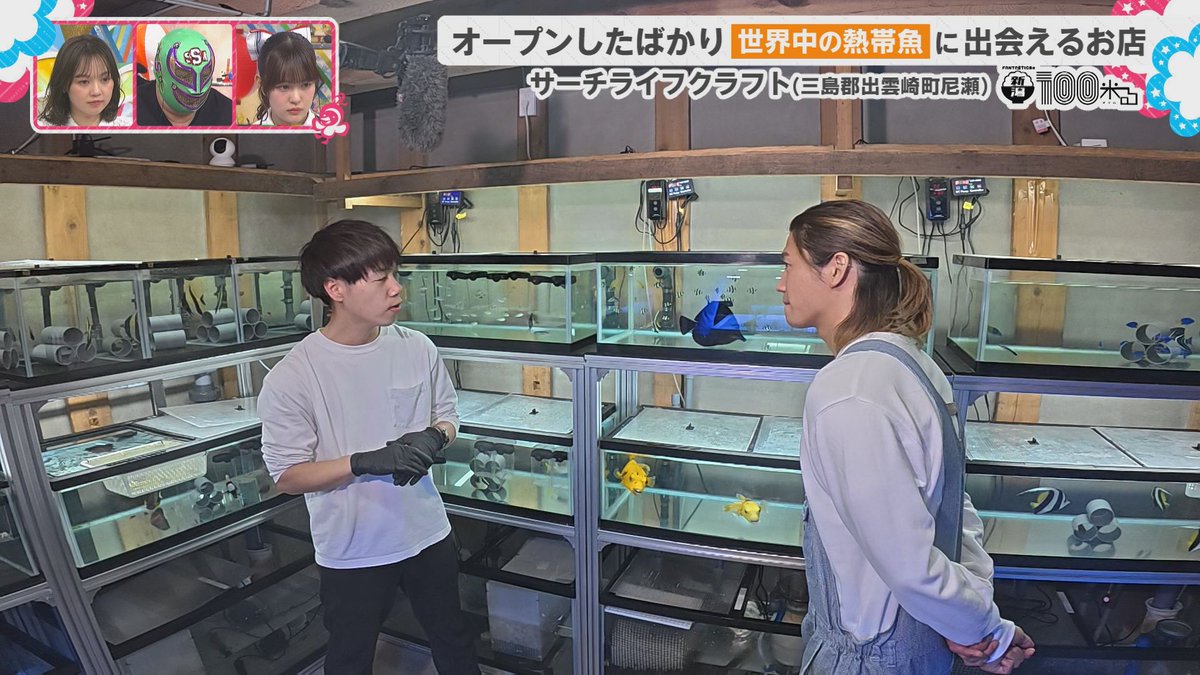 八千代コースター tweet media