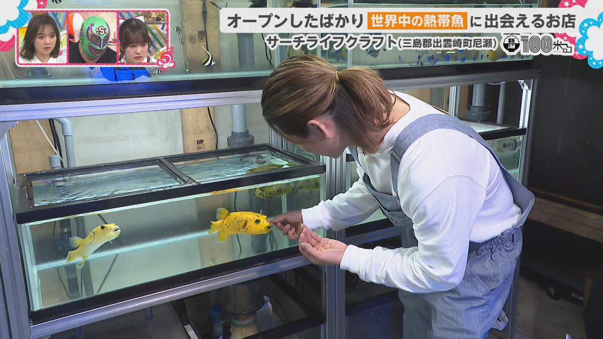 八千代コースター tweet media
