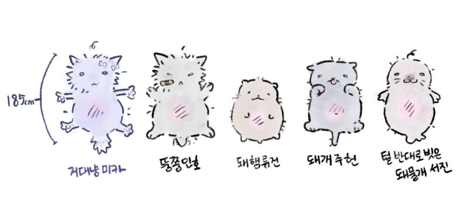 현서진 tweet media