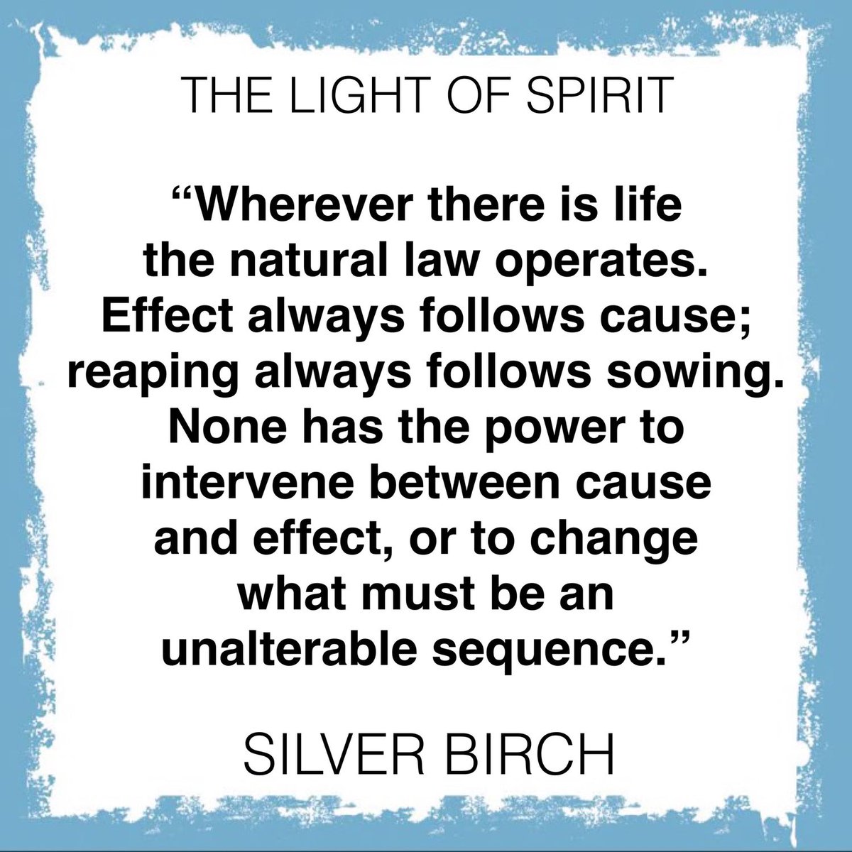 THE LIGHT OF SPIRIT tweet media