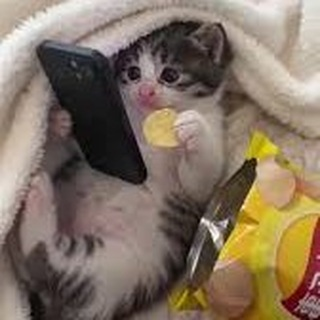Andriy tweet media