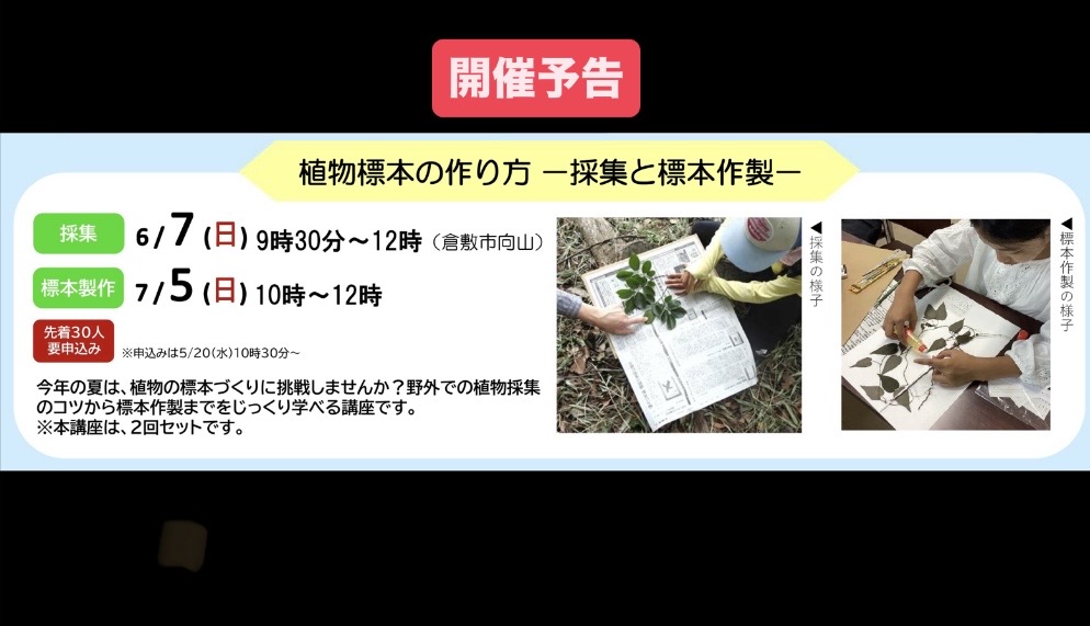 kura_n_h_museum's tweet photo. 講座「植物標本の作り方」では、野外での植物採集のコツから標本作製まで、2回の実習をとおして講師が丁寧にお伝えするよ。じっくり学べるこの講座、夏休みの自由研究に向けてもおすすめ。みなさんのご参加待ってま～す！

詳細はこちら▼
https://t.co/NlUExKmXxi https://t.co/t06piKRkYW
