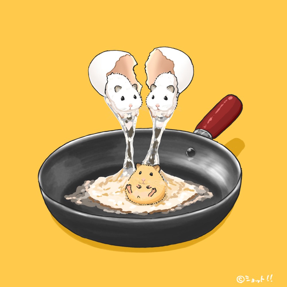 コンコン、パカっ🍳