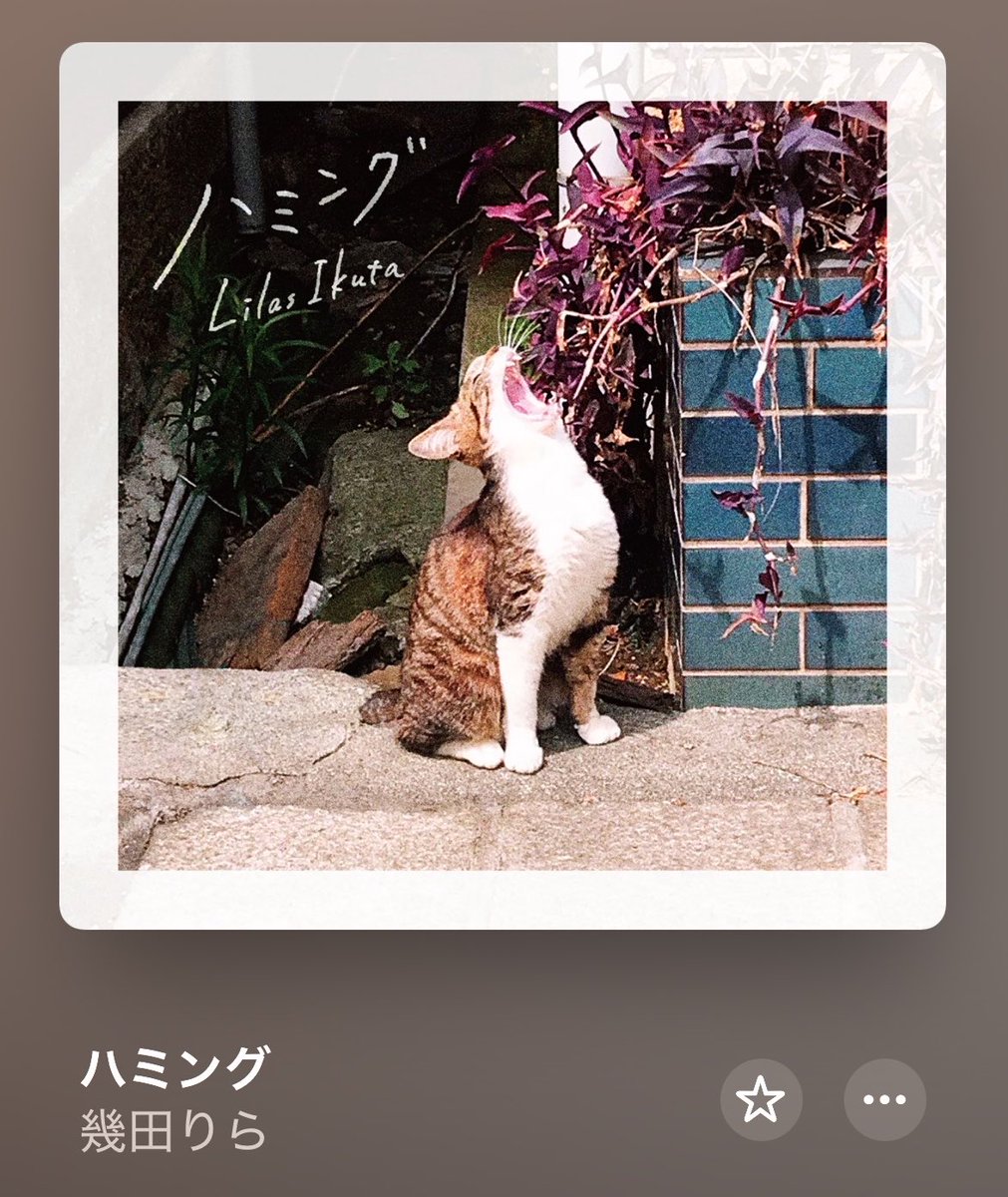 FMせんたぁらいん tweet media