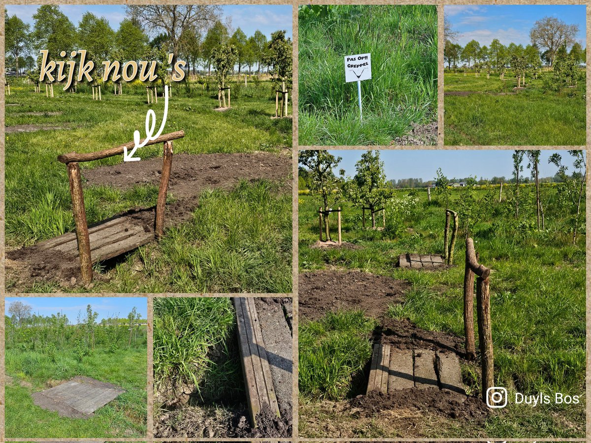 DuylsBos's tweet photo. Kijk nou 's hoe leuk ze dat op Noord gemaakt hebben ๐ Over de afwateringsgreppels zijn kleine bruggetjes gemaakt zodat bijvoorbeeld ook mensen met een rollator door het perenlaantje kunnen lopen ๐๐ป๐๐ป
#goedbezig #datzietergoeduit #kijknou #welkom #komkijken https://t.co/pPZSwMu3Cw