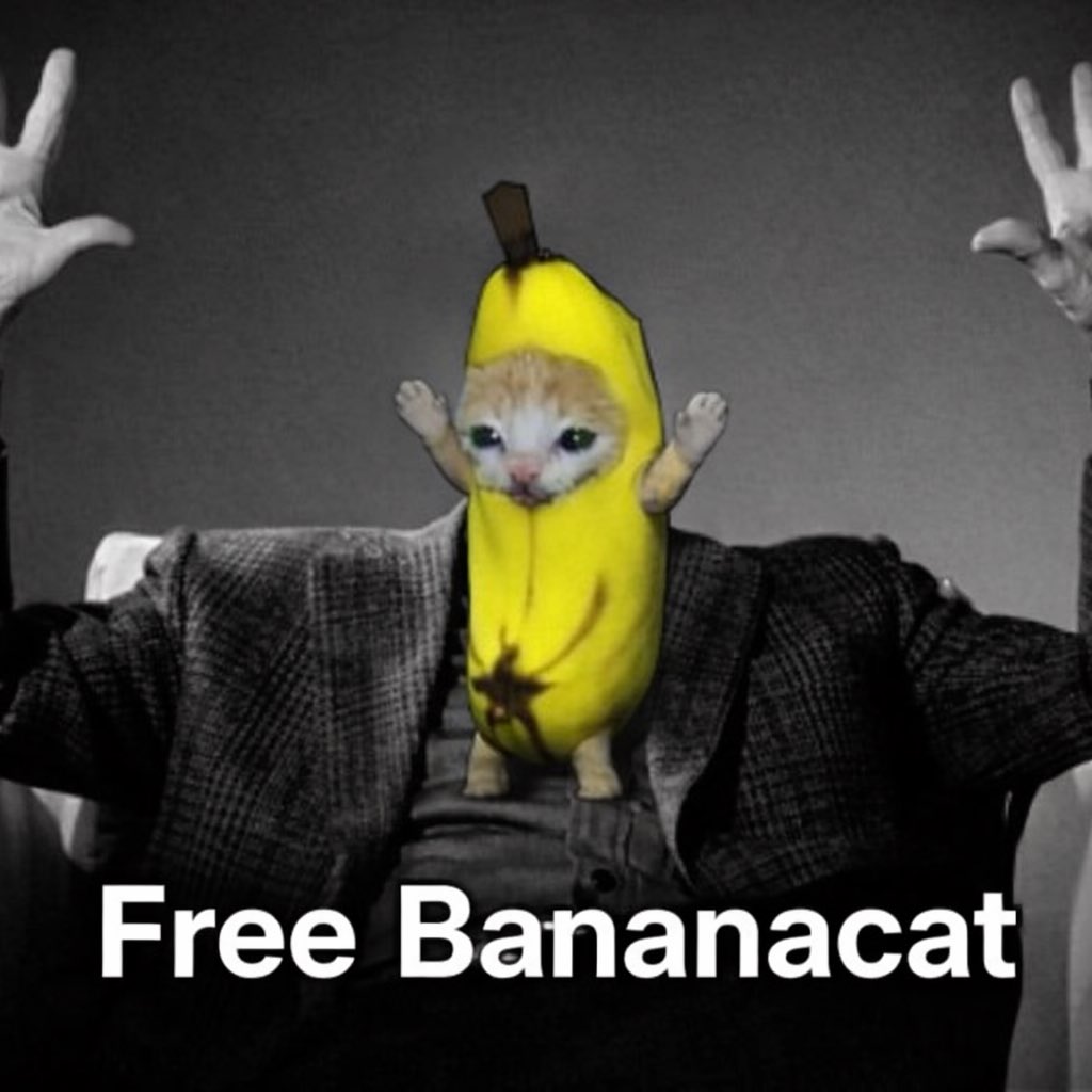 vvyiii's tweet photo. @Meowbananacat @MovieTalkNOW1 @TeamYouTube Oh my god, it finally happened! So, so happy for you bro! I hope it stays like that forever ❤️ Get back to making our favorite videos🐱 Hapi Hapi Hapi #freebananacat https://t.co/YlLj7gAPVy
