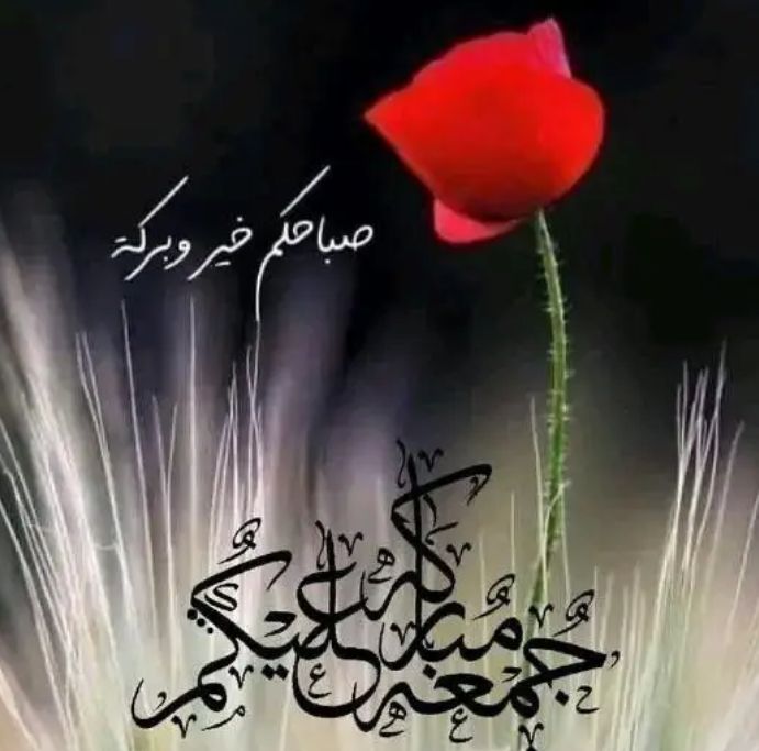 وسم الشمال (@alzara_naser) on Twitter photo 