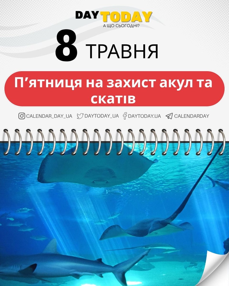 DAY TODAY 🇺🇦 А що сьогодні? tweet media