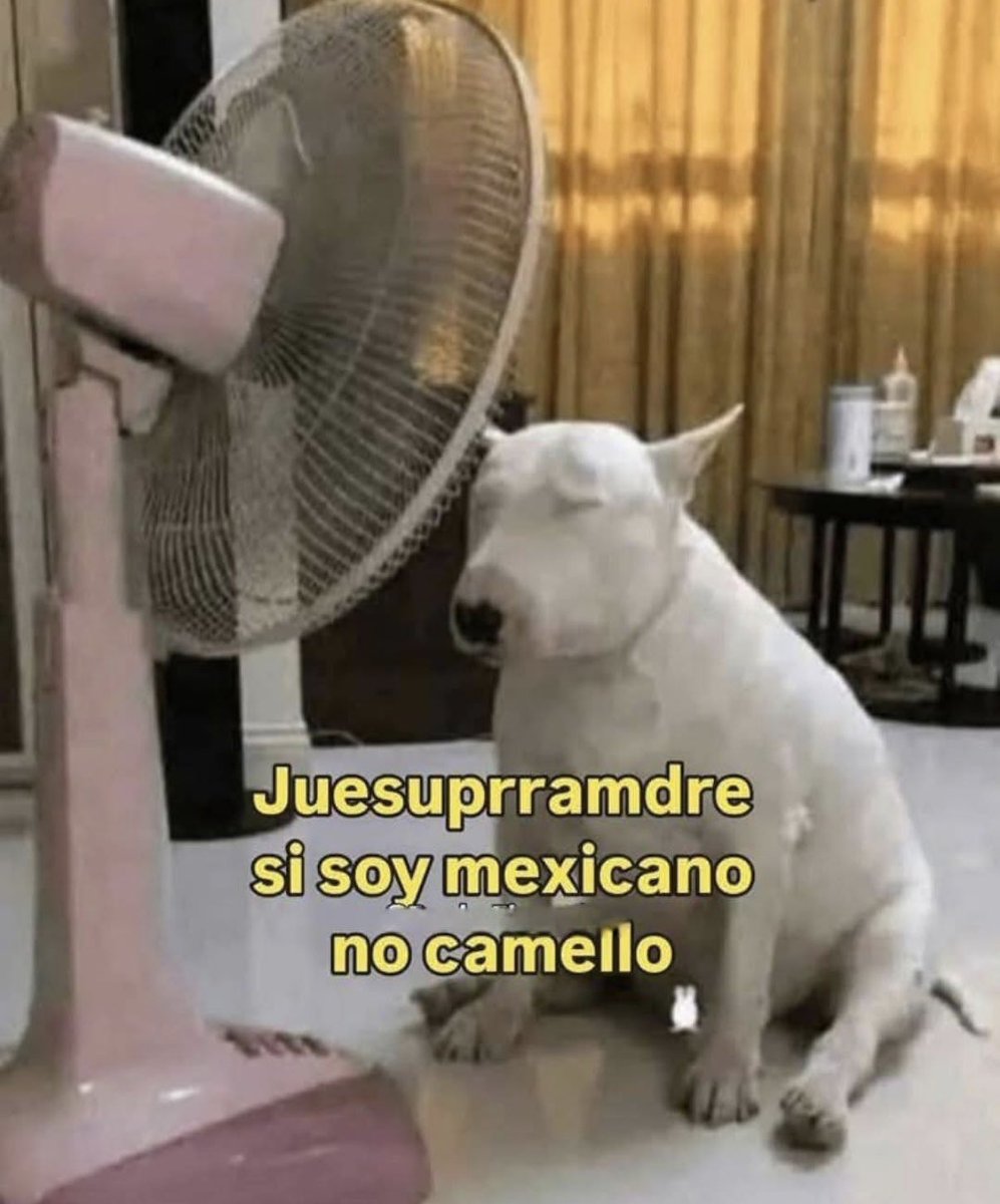 🥲😭