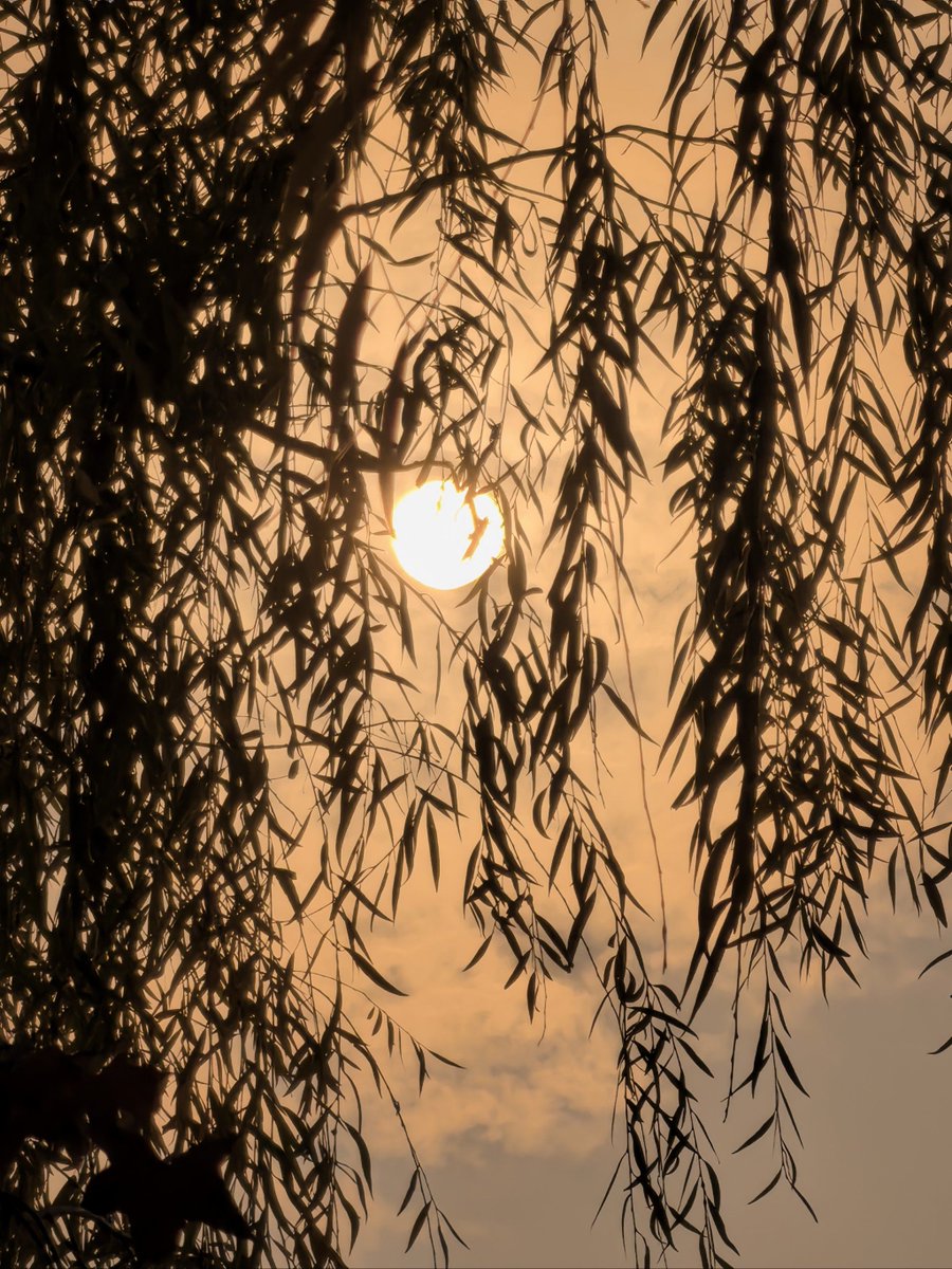 mangon tweet media