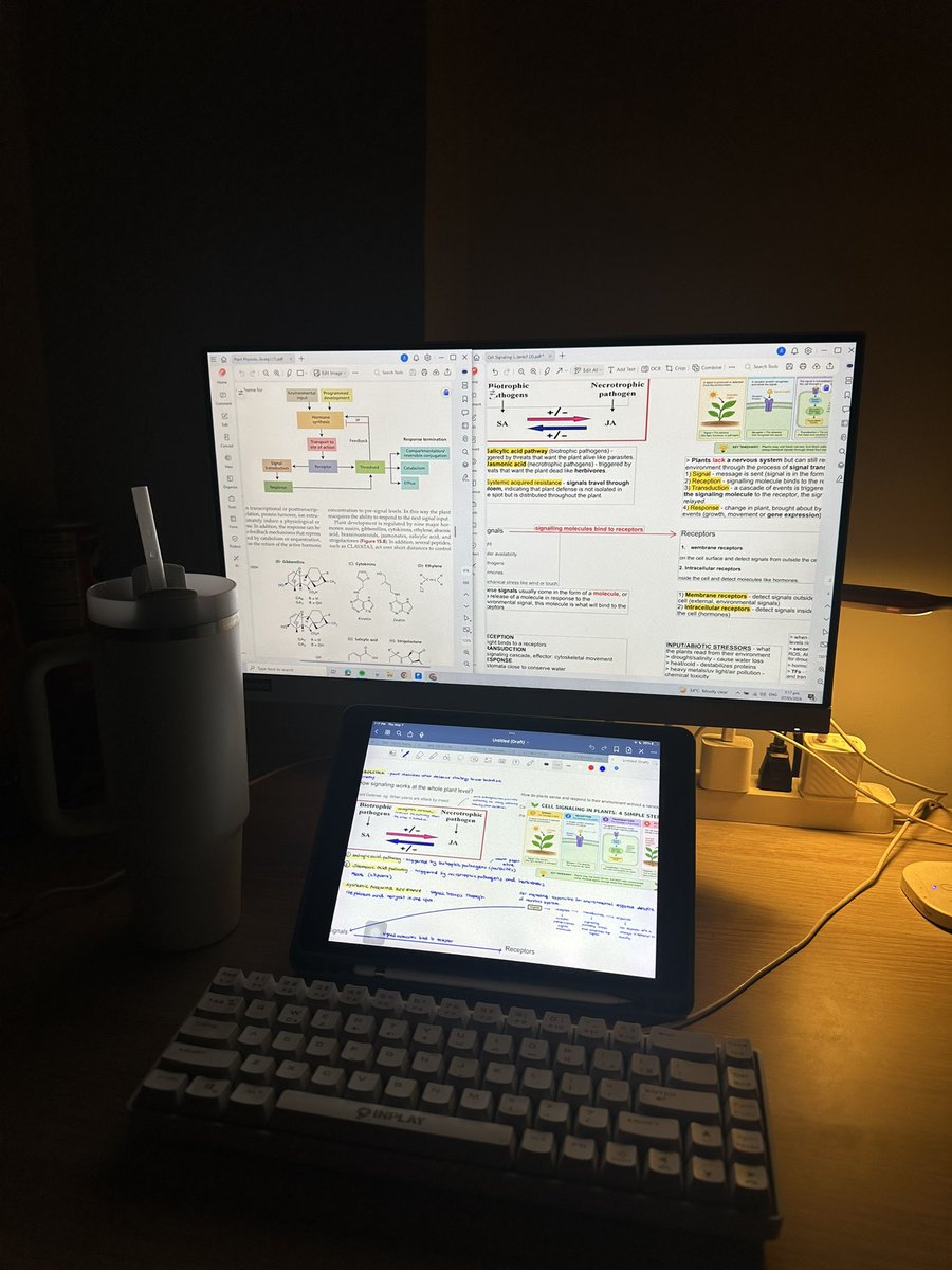 _nyulife's tweet photo. late night study w me 👩‍💻🌱

trying to work through my professor's slides (which are 99% images) by typing in my notes and integrating textbook information (tnx to chat with pdf) with pdfelement! gamechanger honestly 😮‍💨

app used: https://t.co/hSQ8ZLnfCb https://t.co/GBul7uc2Ln