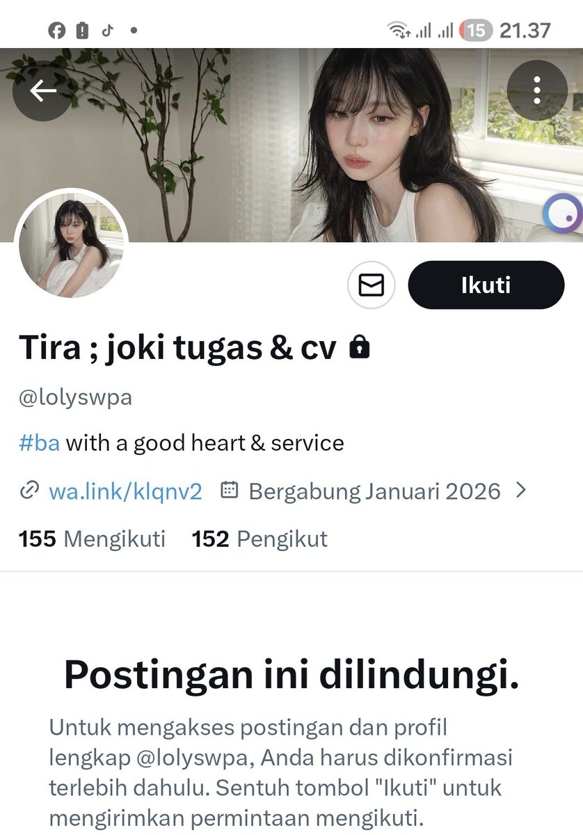 dina tweet media