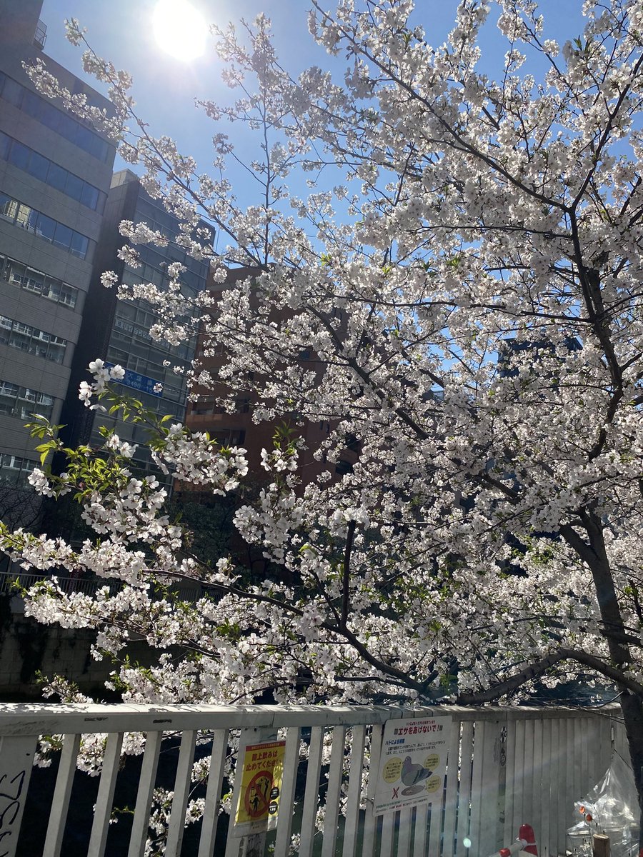 cun_2N's tweet photo. 今月出勤決まりました❣️

5/23,24(小山)

宇都宮なかなか行けてなくて申し訳ないです😭
前回会いにきてくれた方も久々の方も初めましての方もご予約お待ちしてます😺🎶
本指名のお兄さんに話したいこと聞きたいこと色々あるので是非😹笑 https://t.co/Y4NeBWbwVi