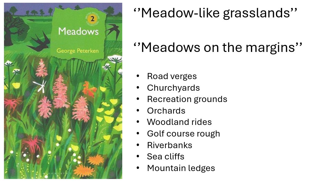 Big Meadow Search tweet media