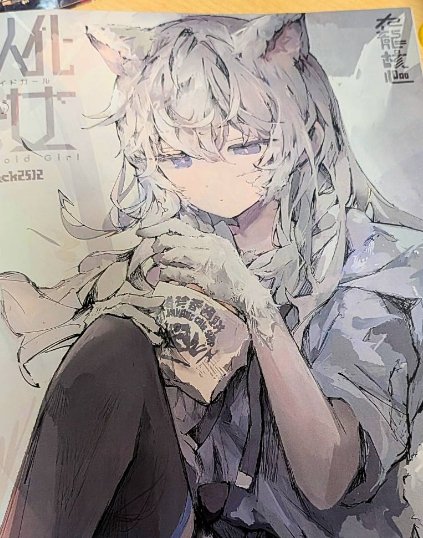 パンドリ丼@アニマロイドガール / 40DegreesJapan J-9 tweet media