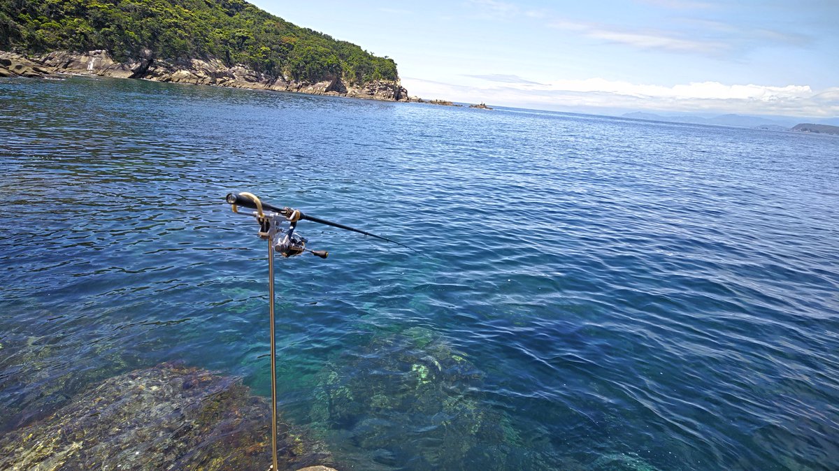 tureture55's tweet photo. 春のアオリイカの2日釣り
一日目、牟岐大島
一投目からアタリが有り早々に1.5㌔釣れて爆釣の予感🤩
しかし予感だけでした😅
潮が引くのと同じようにアタリも無くなり3杯で終了😑
2日目、お手軽波止で昼間ででしたが２㌔釣れてビックリ🤩早々に帰宅。 https://t.co/7f6O93cRjo
