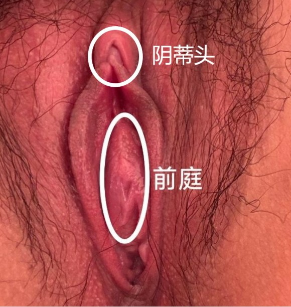性学Larry老师 tweet media