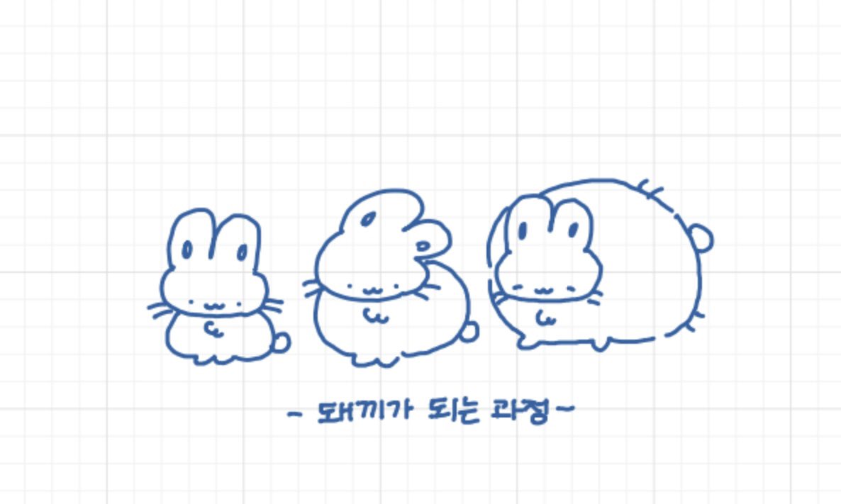🥟트친소 tweet media