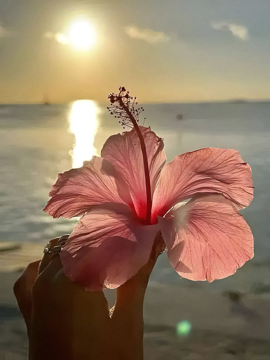 bloomelle tweet media