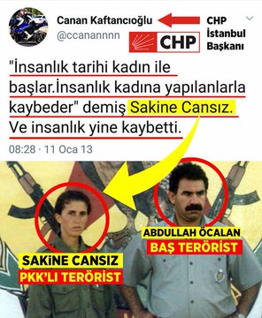 Nisa Adıyazılı tweet media