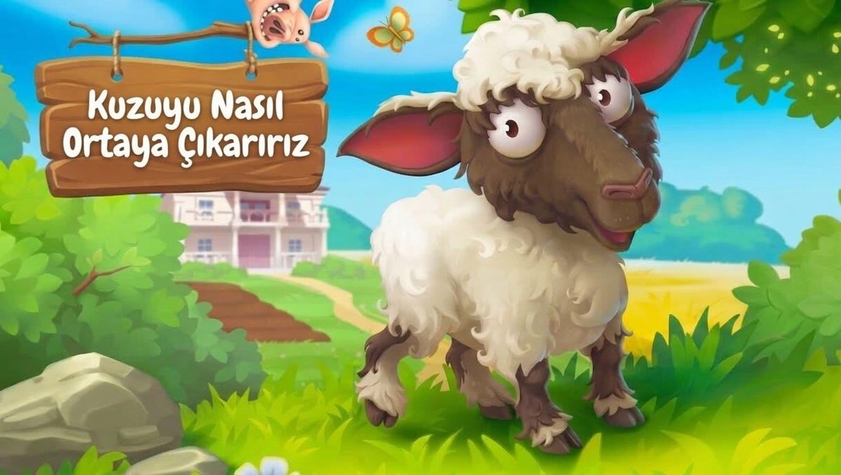 Hay Day Turkiye tweet media