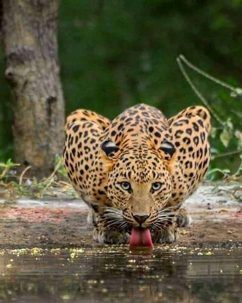 Thabiso Mukuru tweet media