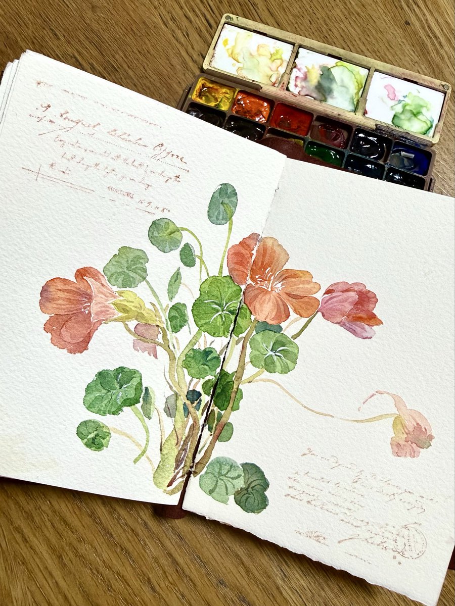Tessa-Watercolor tweet media
