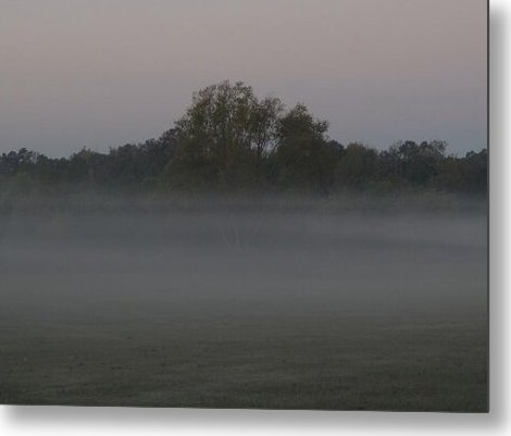 Angel617Liz's tweet photo. https://t.co/AbLujMCd6x "Angel Whispers At Dawn" available in print, apparel, lifestyle, home decor, and more. #NaturePhotography #MorningFog #Landscapes #Morning https://t.co/O5OmuibNMN