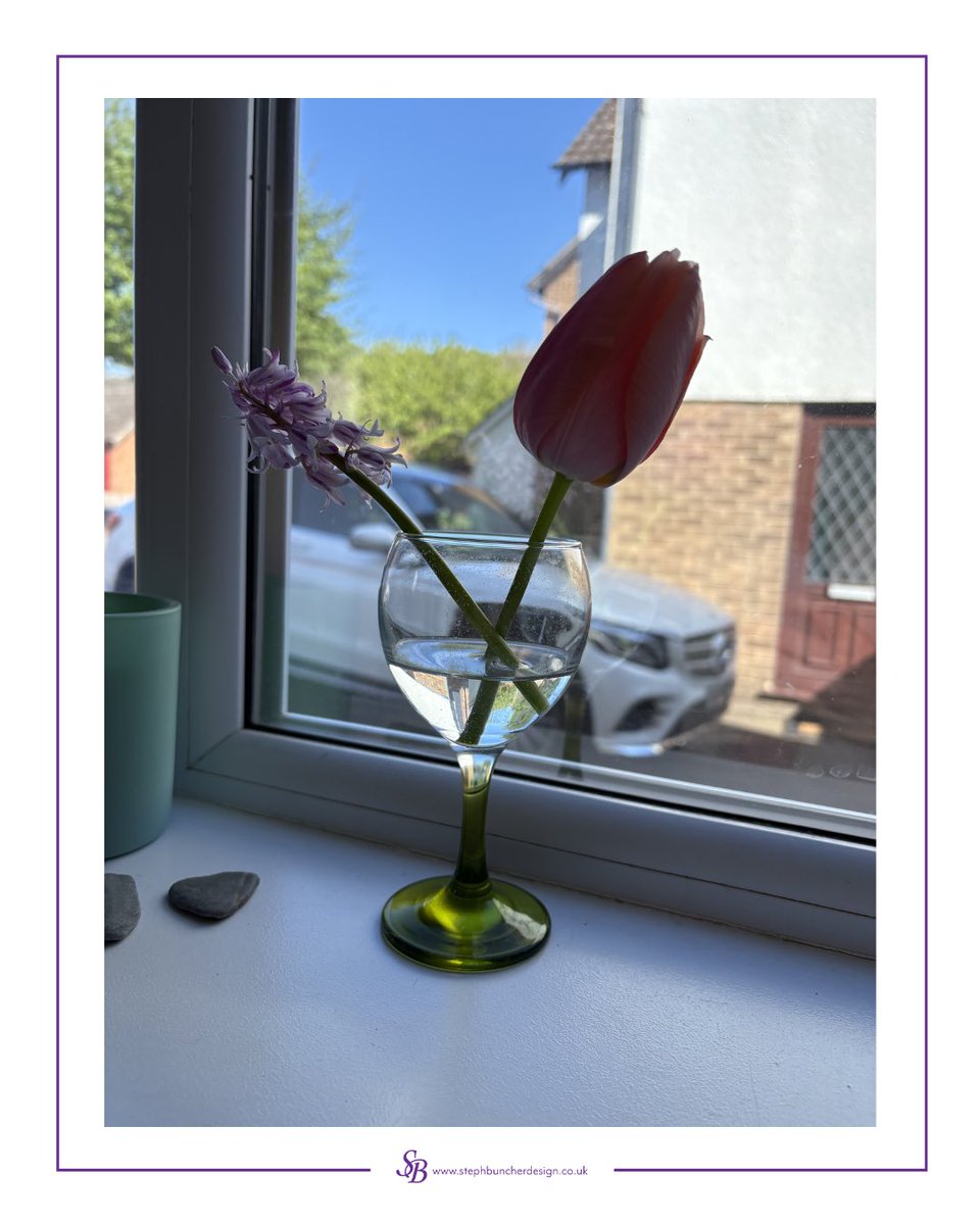 SBuncherDesign's tweet photo. Happy Friday everyone! 🥰

#friday #springhasarrived https://t.co/B7E7lu2XGH