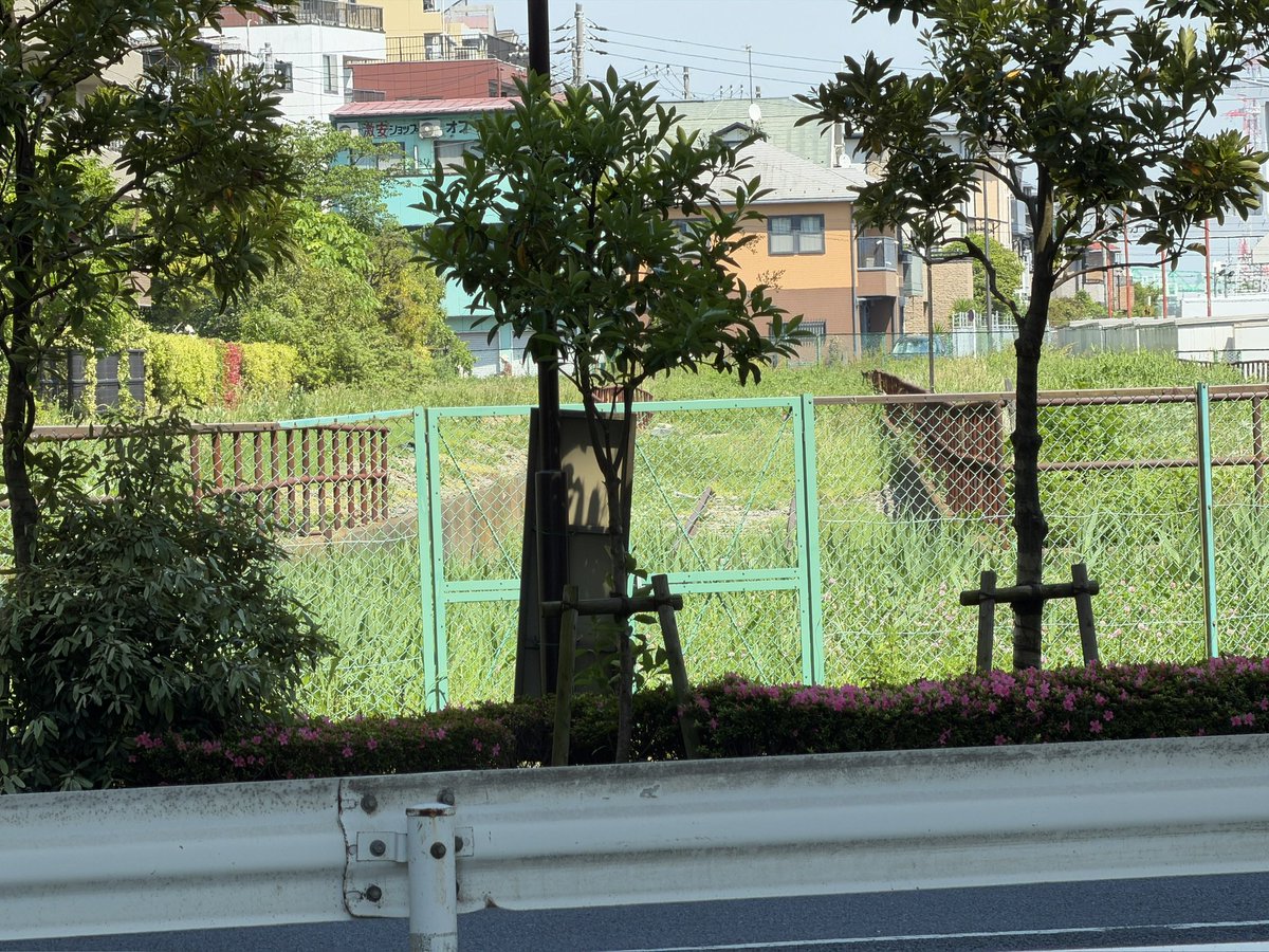 南砂一丁目 tweet media
