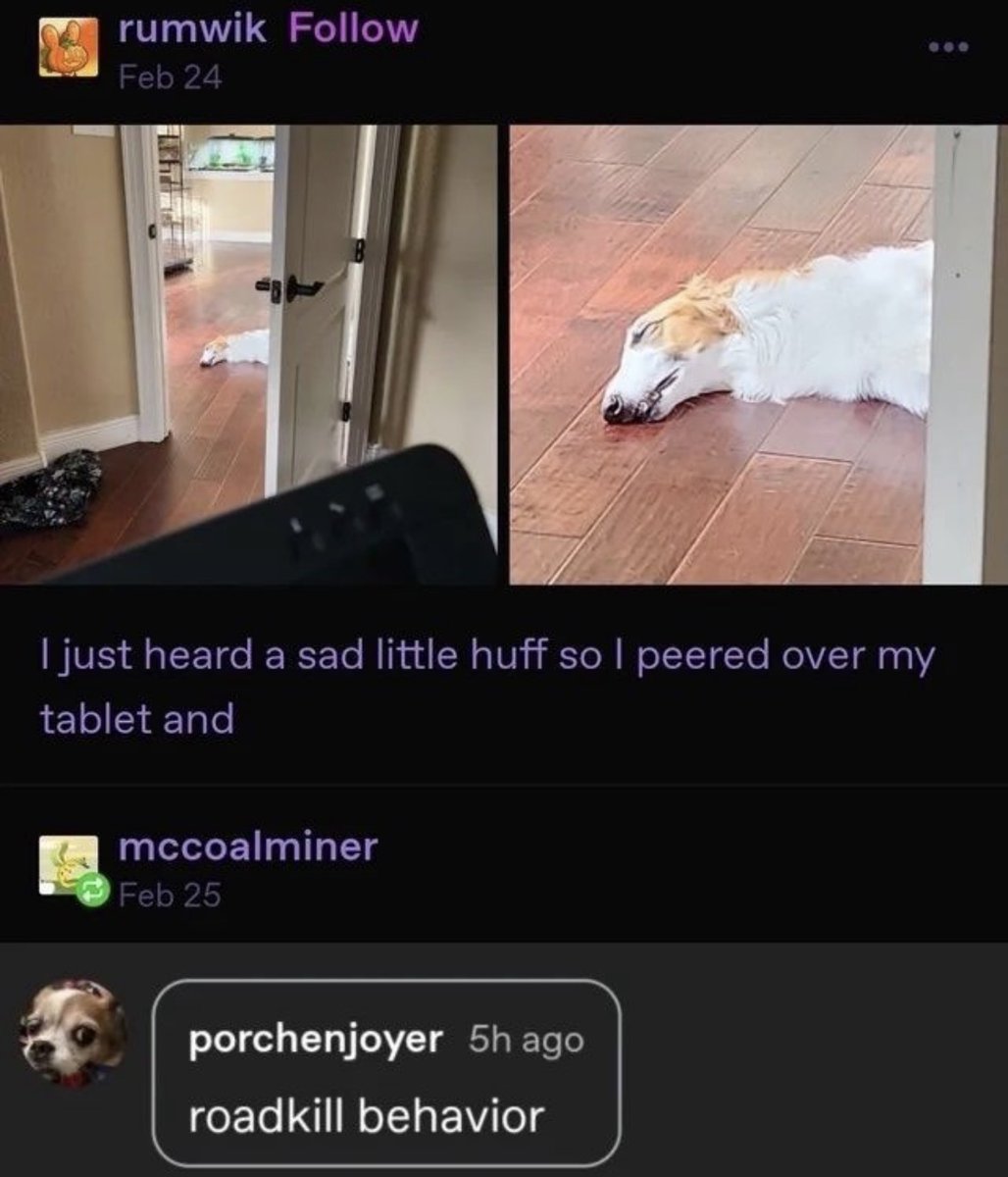 Respectful Memes tweet media