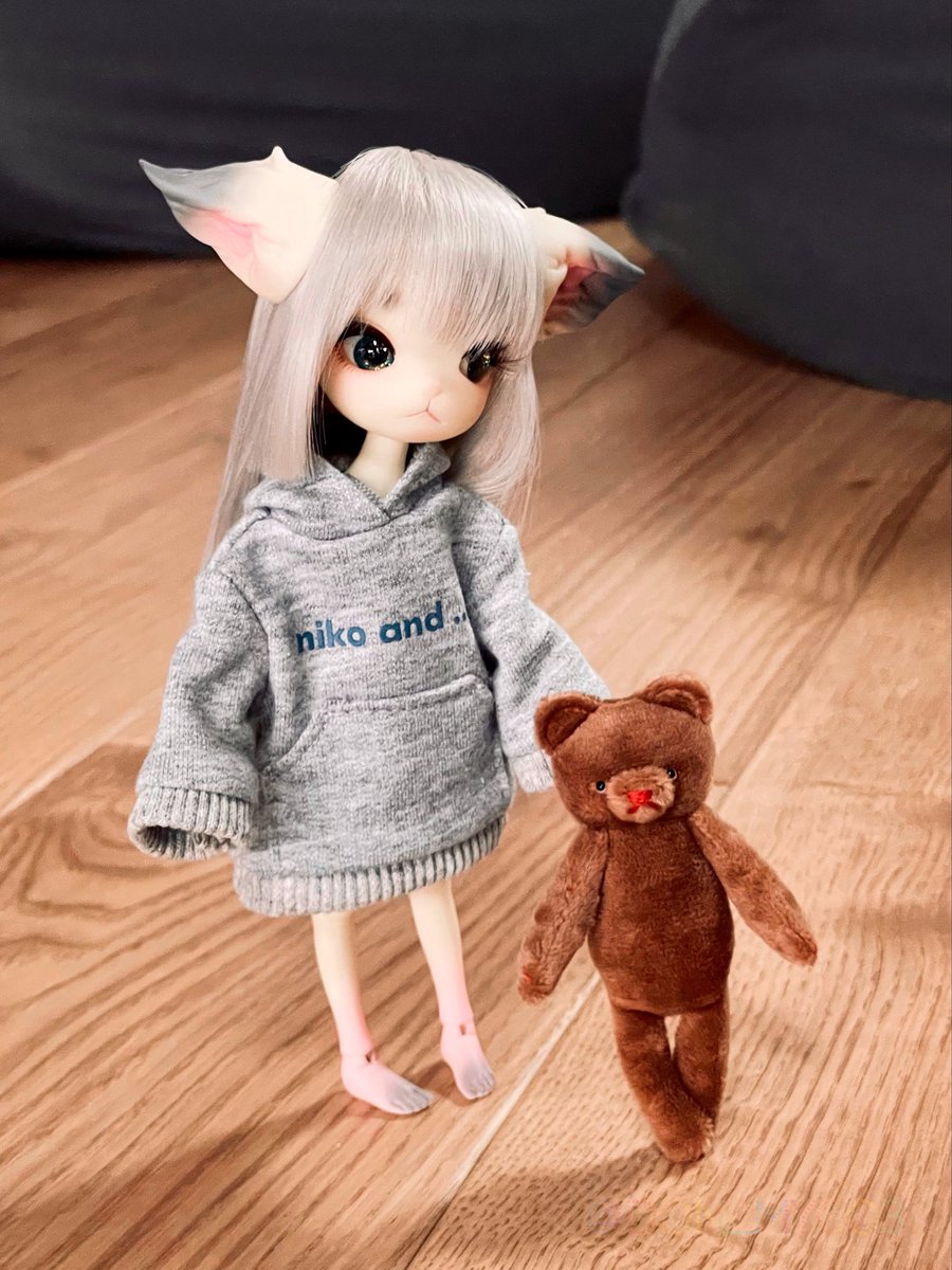 don_myco3's tweet photo. おうちでゴロゴロねこちゃん

#ミニキティ
#minikitty https://t.co/E9JOHtWr61