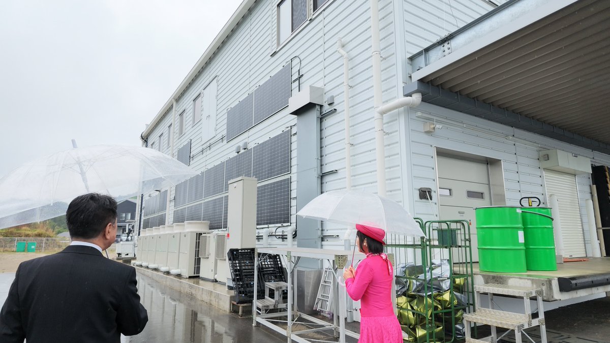 pink_shacho's tweet photo. ペラペラ太陽光設置現場のロケ動画準備中です！
お楽しみに🌸 https://t.co/X7wFPEfya7