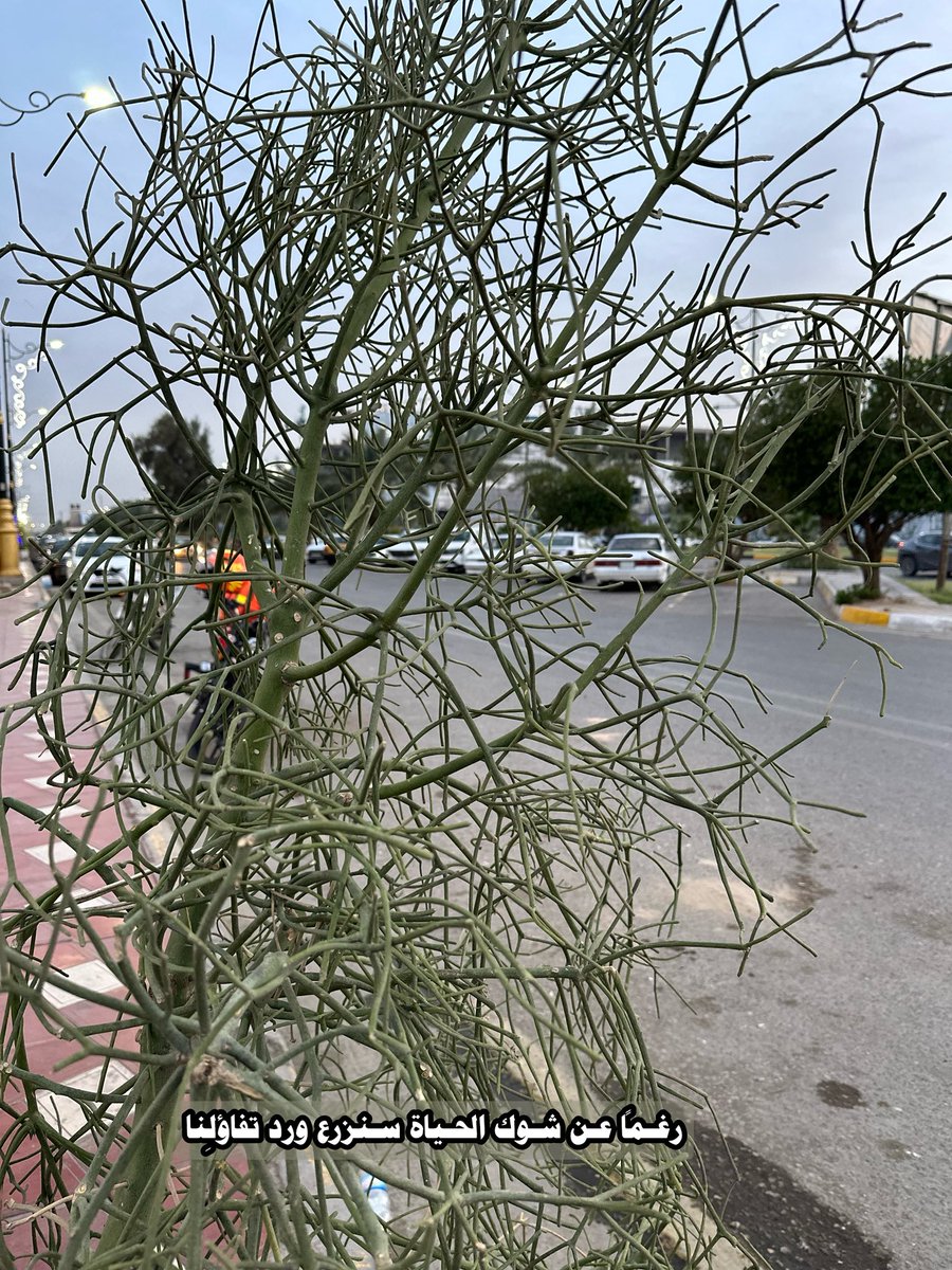 Sasoo_74's tweet photo. من أقبل على الله بشتاتــه..جَمَعهُ الله بلُطفــــــه .. https://t.co/lmBApBtZu2