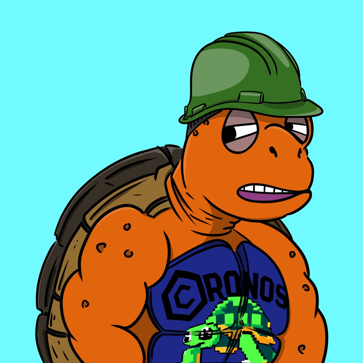 Turtle on Cronos Sales Tracker tweet media
