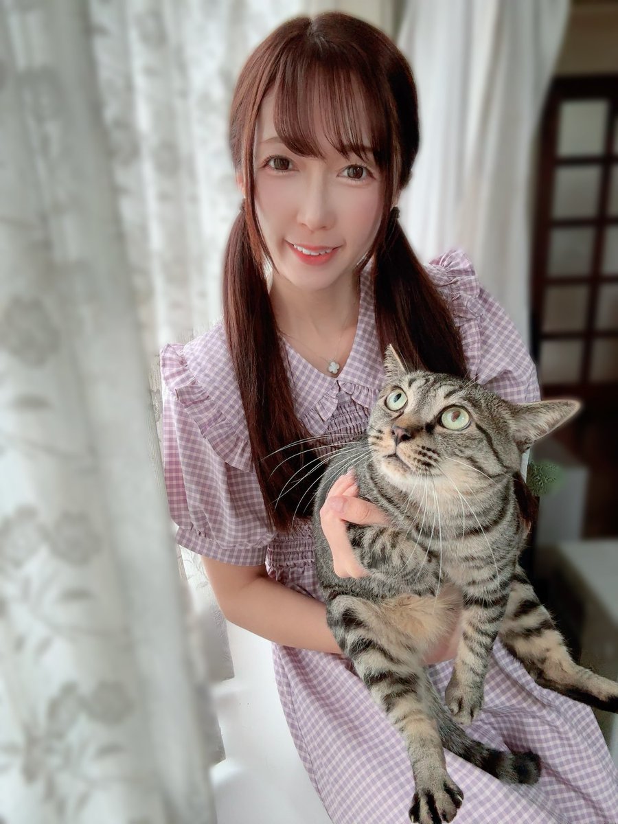 Post by かっちゃん🐣 on X: 🥺👍✨